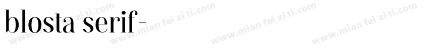 blosta serif字体转换